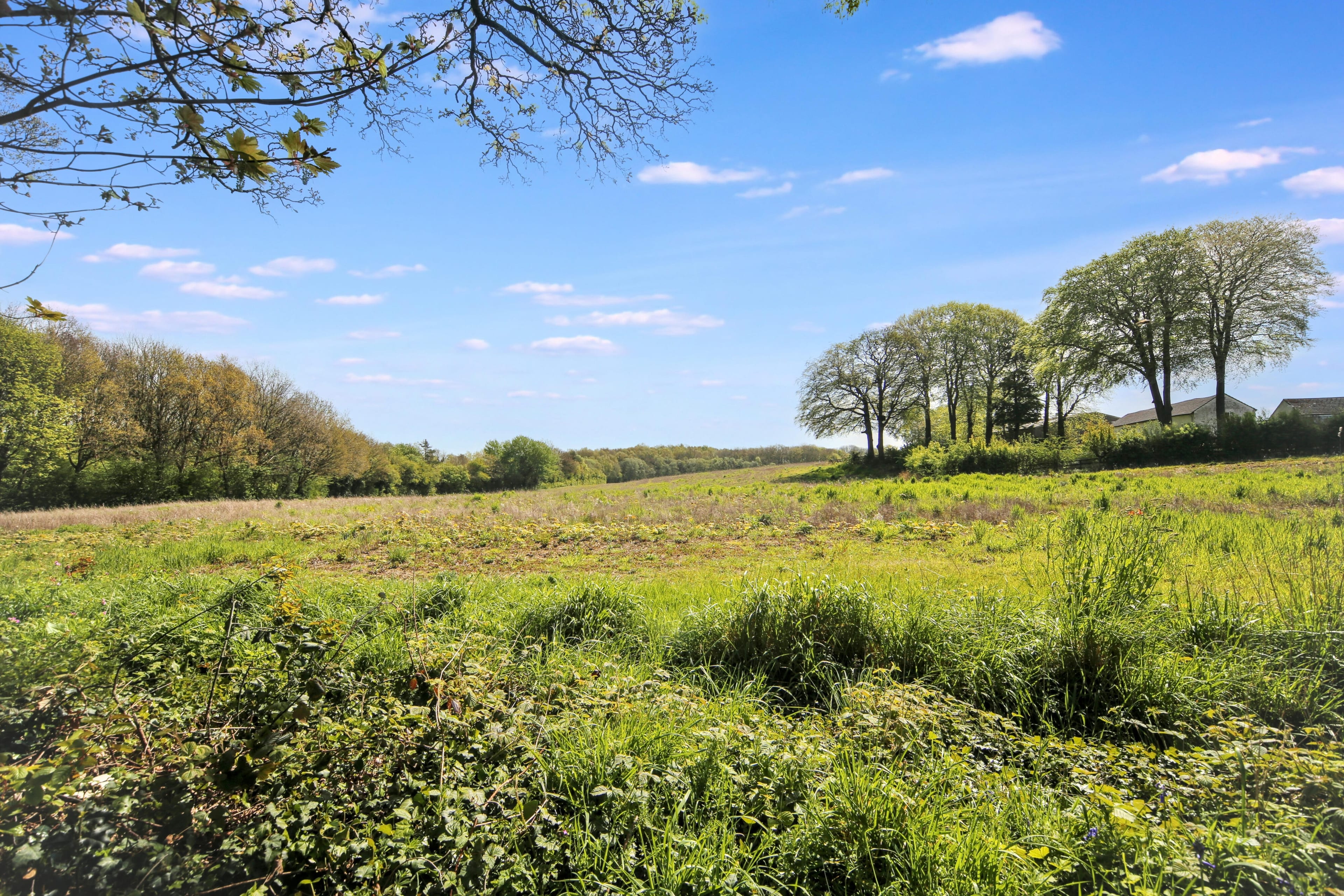 Pine View, Winstanley, WN3